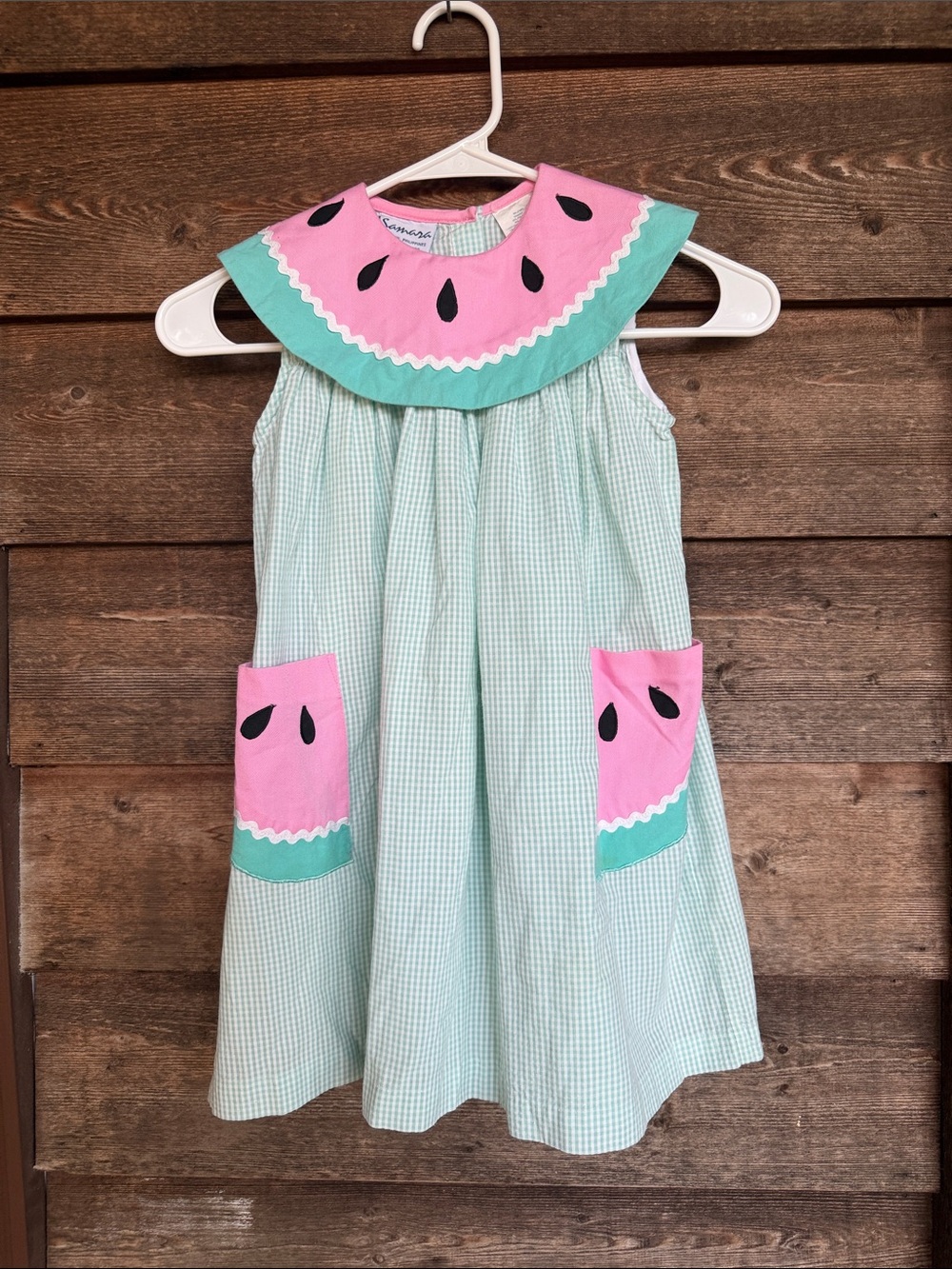 Samara vintage watermelon dress